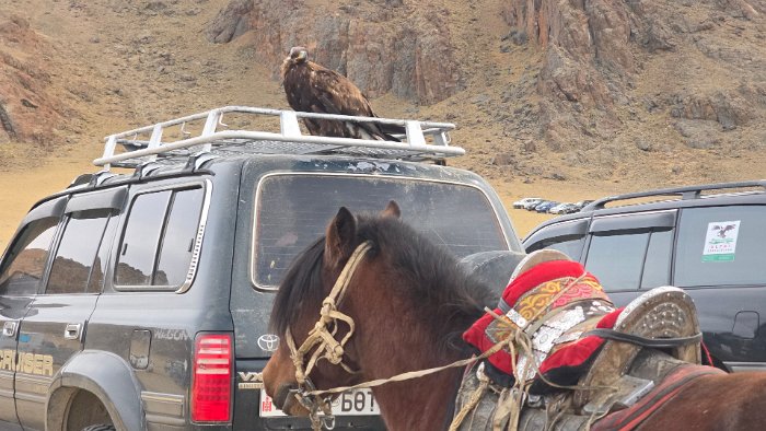 Dont forget about your eagle !