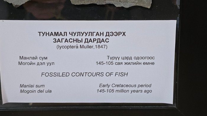 20241002_101641