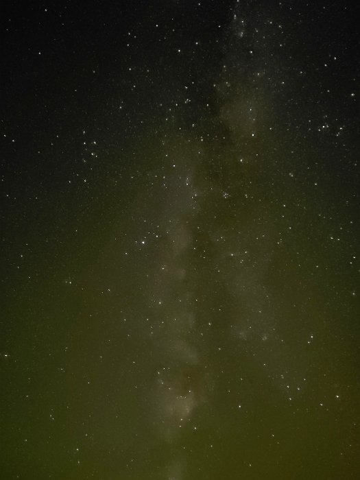 1000083056