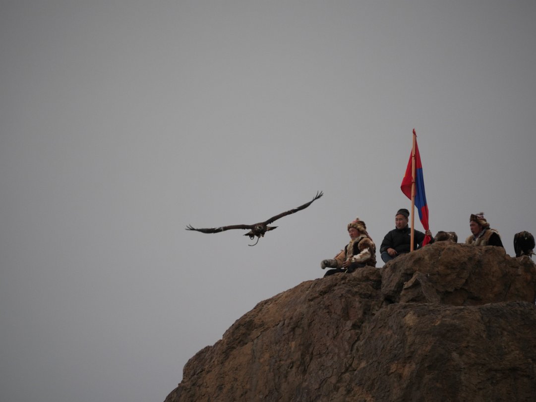 Eagle Calling Competition The eagles are released from the top of the cliff. The hunters will call their eagles from various marked circles on the...
